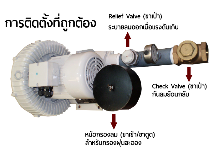 การใช้งาน Ring Blower อย่างถูกวิธี