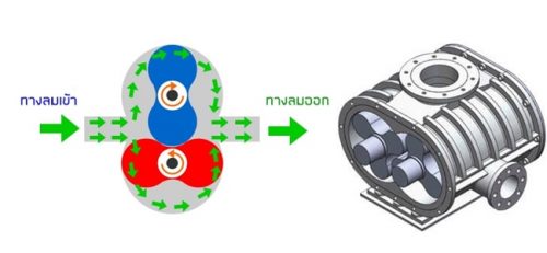 ปั๊มลม (Air Compressor) แต่ละประเภทแตกต่างกันอย่างไร?