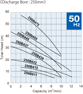 B_250_50hz