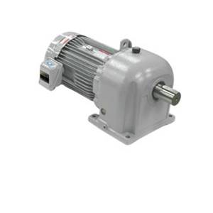 Gear motor