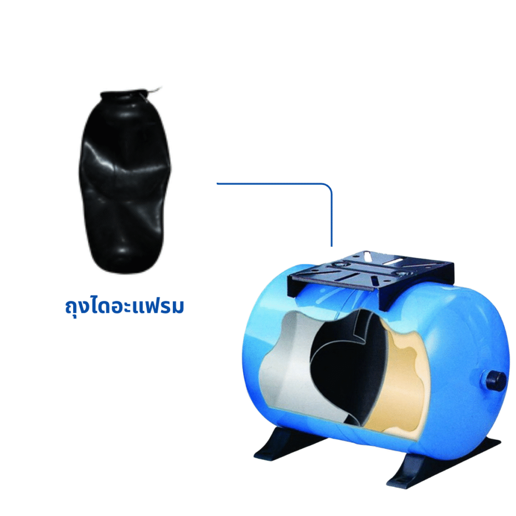 ถุงไดอะแฟรม